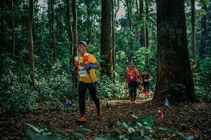 BIB: 
                            <button type="button" onclick="openModal(26128133)" class="btn btn-primary btn-sm float-right btn-popup" data-toggle="modal" data-target=".modal-high-quality">
                        <i class="fas fa-shopping-cart"></i> Add to Cart
                    </button>
                                            <button type="button" onclick="isThisMe(26128133, true)" class="btn btn-success btn-sm float-right btn-popup btn-isme hidden" data-toggle="tooltip" data-placement="bottom" title="นี่คือรูปของคุณใช่ไหม คลิกที่นี่เพื่อเอาเข้าอัลบั้ม">
                        <i class="fas fa-plus"></i> Add to album
                    </button>
                    <button type="button" onclick="isThisMe(26128133, false)" class="btn btn-warning btn-sm float-right btn-popup btn-isnotme hidden">
                        <i class="fas fa-ban"></i> Remove from album
                    </button>